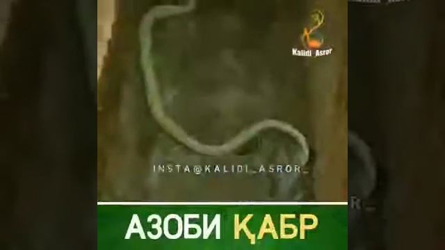 Азоби Кабр НАВОР то охири тамошо кнен бародаро смотреть онлайн