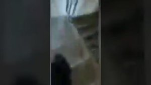 Фильм: попал в закулисье