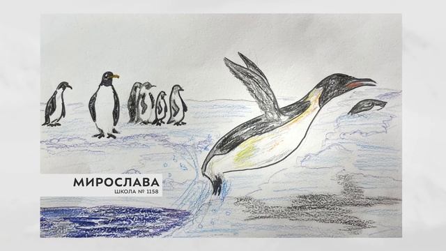 Работы участников флешмоба #МояАрктика