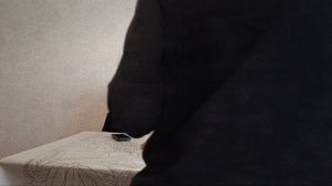 отвечай или страдай челендж.