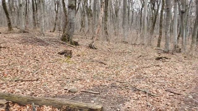 Вокруг Бештау.