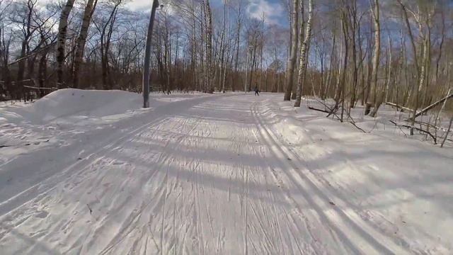 Тренировка лыжи 20км вольным стилем. смотреть онлайн