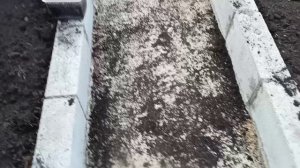 Вспомнила про тушёнку, полезла в закрома. Ром не купила, а то бы уже  начала подготовку к выпечке 🍹