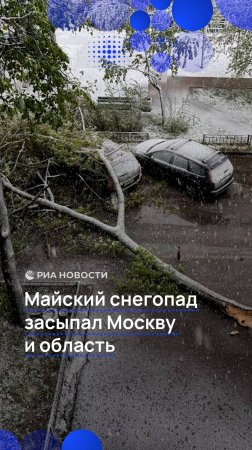 Майский снегопад засыпал Москву и область