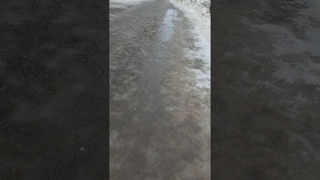13 марта 2025 г., 10:00:23
ул. Полины Осипенко
VID_20250313_095857236