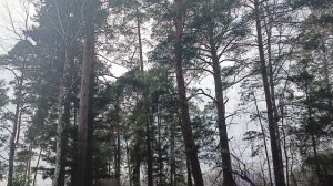 Неожиданный снег. Ищем дом.