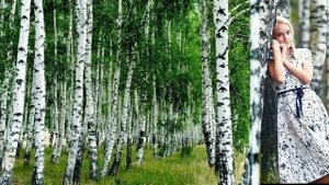 Матушка земля белая березанька - поёт Татьяна Куртукова
