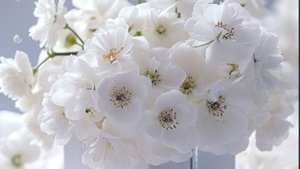 Самый тёплый подарок для лучшей подруги! Музыкальное поздравление с Днём Рождения