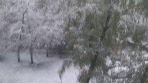 Снег 2 мая 2025. Север Подмосковья Это уже становится традицией 57303785