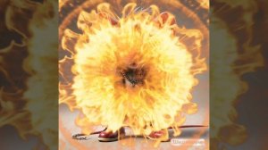 моë итальянское животное