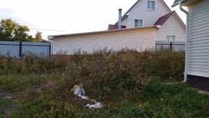 Готовимся к зиме. Убираем урожай и траву 🏡Домик в деревне