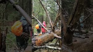 Поход. ПВД по подмосковью. Психологический поход.