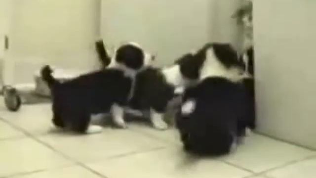 Котоматрица Перезагрузка.MP4 смотреть онлайн