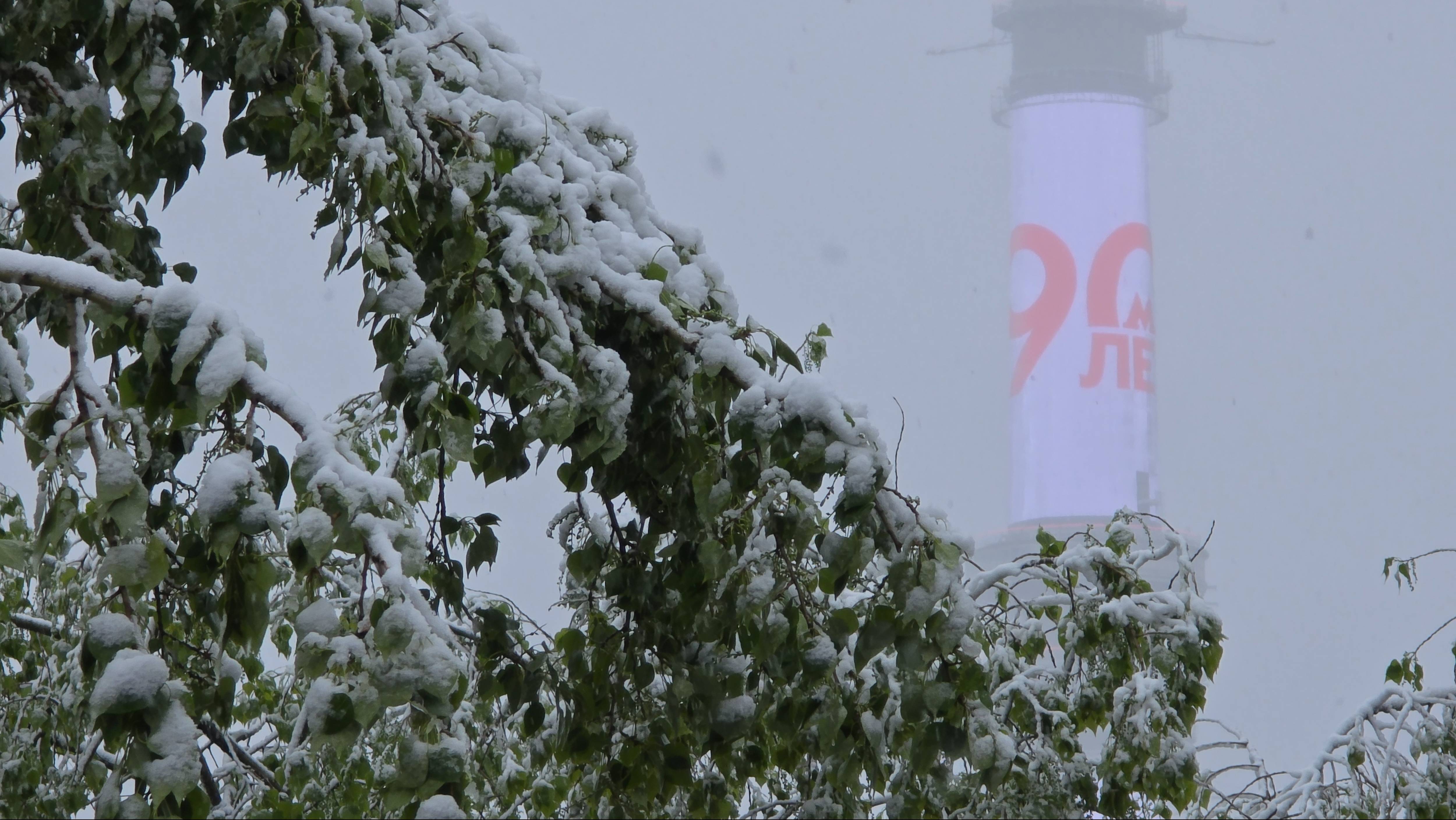 МОСКВА - 2 мая 2025 года. НЕЛАСКОВЫЙ МАЙ. смотреть онлайн