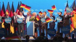 Партия "Альтернатива для Германии" объявлена в ФРГ экстремистской