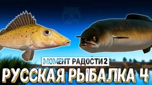 RF4 ТРОФЕЙНЫЙ ГОЛАВЛЬ, НОСАРЬ, УГОРЬ И ЗАКРЫЛ ВОДОЁМ #рр4