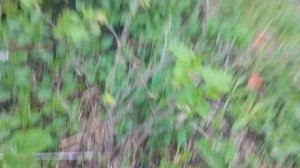 1 день из моей жизни!!