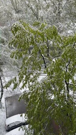 Зима в мае?😱❄️