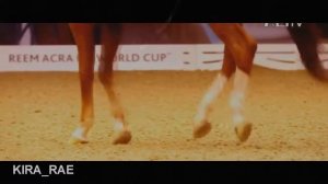 Кто этот сумасшедший русский? / Конный спорт