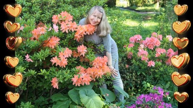 Поздравление для Феди. смотреть онлайн