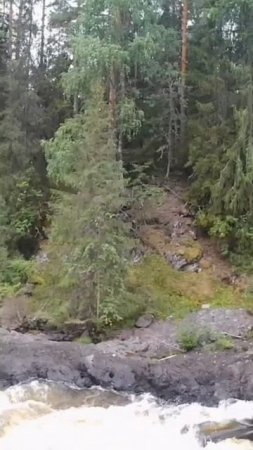 Путешествие на водопад!