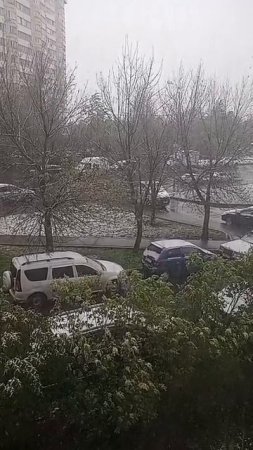 СНЕГ В МОСКВЕ МАЙ 2025