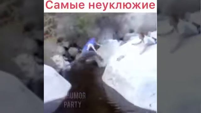 приколои точики смотреть онлайн