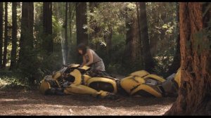 Բամբլբի / Бамблби / Bumblebee