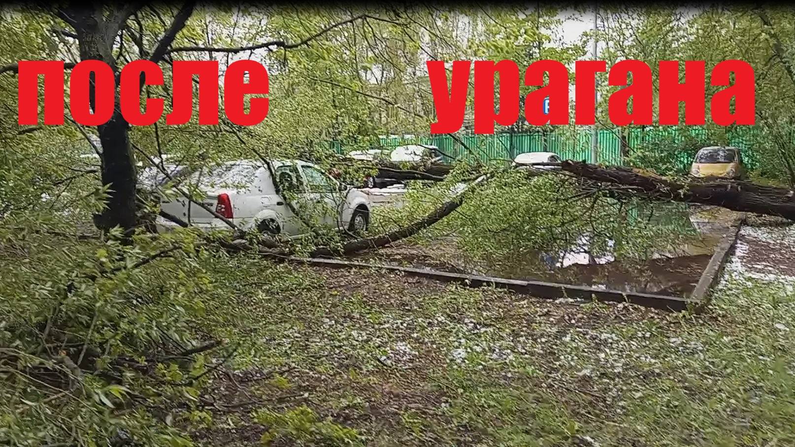 После урагана 02.05.2025