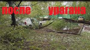 После урагана 02.05.2025