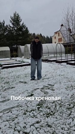 Хреновая была идея перенести февральские праздники на майские