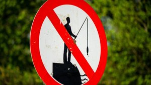 Запрет на ловлю рыбы ввели на севере Казахстана во время нереста