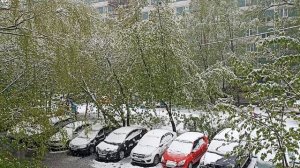 2 мая Москва.