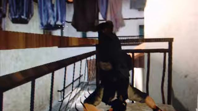 Приколы в CSS смотреть онлайн