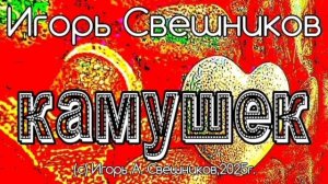 Игорь Свешников - Камушек