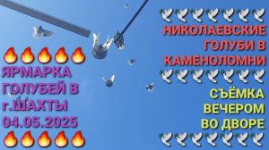 🕊🕊🕊 Николаевские голуби в Каменоломни. Съемка вечером во дворе. Ярмарка голубей в г.Шахты