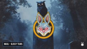 MaxLI - Glossy Tears