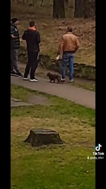 Вежливые люди... Polite people... смотреть онлайн