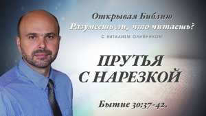 Прутья с нарезкой (Бытие 30:37-42) | Разумеешь ли, что читаешь? | лекция #109 | Виталий Олийник