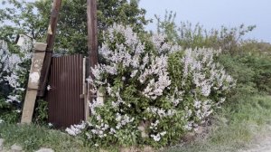 Ставьте перед собой нереальные цели -
не достигните, ну и хрен с ними, - они же
нереальные!