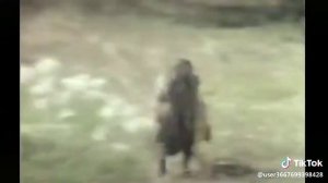 Нас не догонят! Прикол.