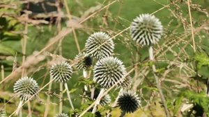 Городские съемки,
Санкт-Петербург, 2024.