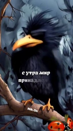 Все дело в птицах