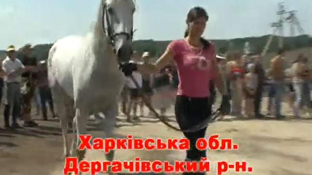 Конный пробег смотреть онлайн