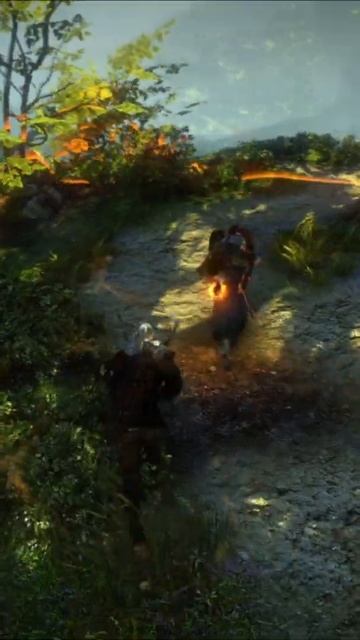 Проказник Роше / Ведьмак 2: Убийцы королей #Shorts смотреть онлайн