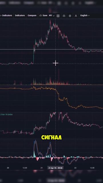 Telegram-бота Скринер Пампов и Дампов - Как Торговать Криптовалюту - Фьючерсы