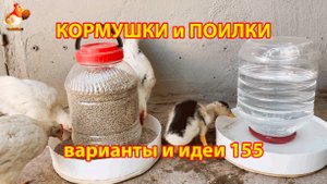 Кормушки и поилки для кур своими руками (155) 🪚✂️ Пошаговая инструкция как сделать 🐔 🐓❣️