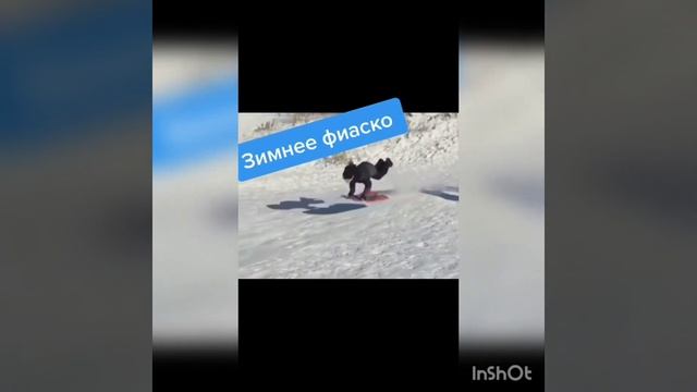 Самые смешные тик токи.Посмотри не пожалеешь.Угарное видео смеялся целый час🤣🤣🤙 смотреть онлайн