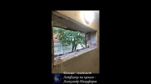 Лайфхак. Освежили отцу гараж