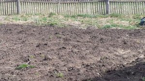 Мини-бульдозер из мотоблока.Полевые испытания пройдены!